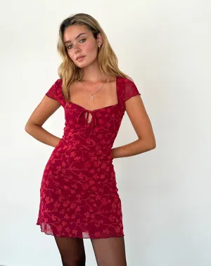 Lashka Mini Dress in Red Grunge Floral Flock