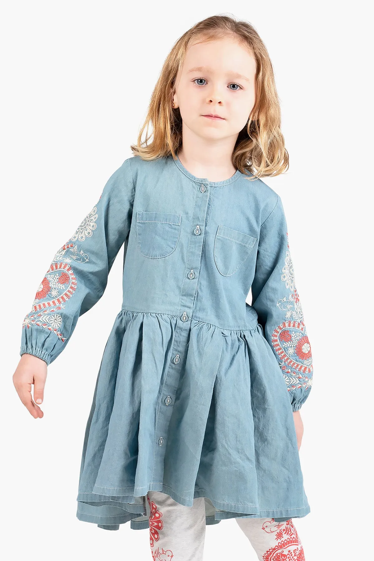 Paper Wings Pleated Folk Girls Dress